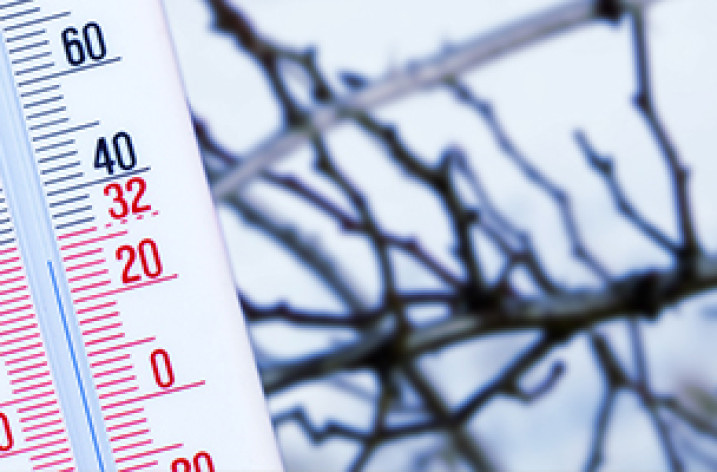 Pomoc dla zagrożonych niskimi temperaturami