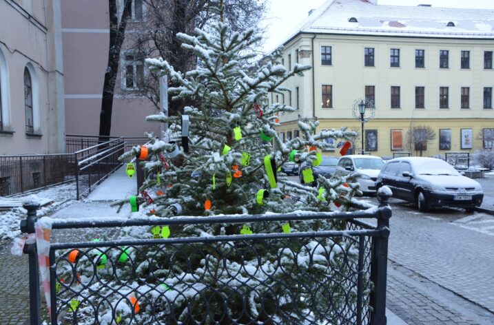 Akcja  „Rozbierz z nami drzewko”