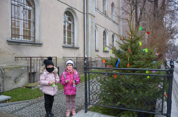 Rozbierz z nami drzewko – podaruj sobie bezpieczeństwo