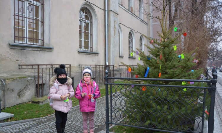 Rozbierz z nami drzewko – podaruj sobie bezpieczeństwo