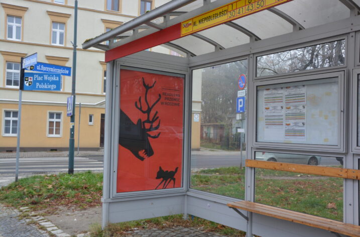 Świdnica przeciw przemocy