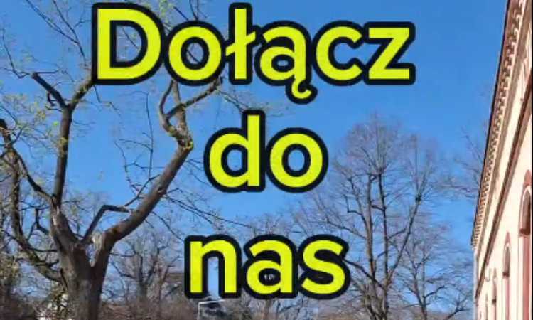 Dołącz do nas w Dziennym Domu Senior+